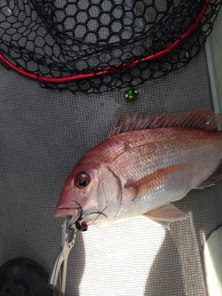 大爆死も何とか捻り出し