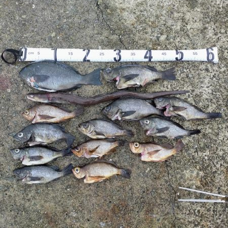 久々の通し釣行