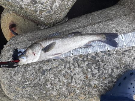 ショアジギング