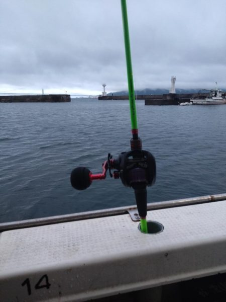 今シーズン初タコ＆公式ユーザー初仕事