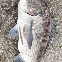 トップチニング