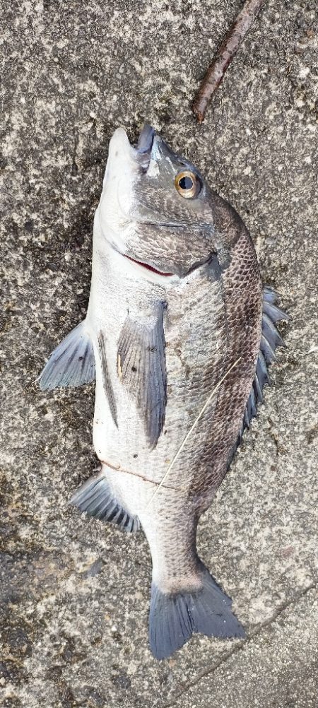 トップチニング