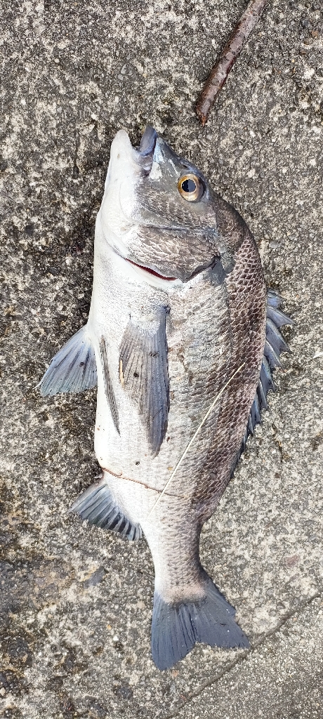 トップチニング