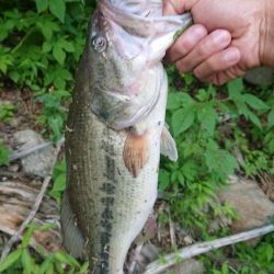 パワーフィネスで2本