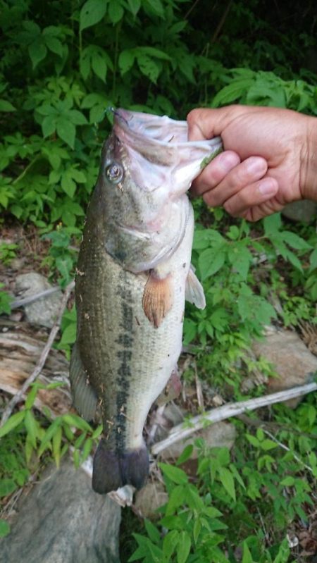 パワーフィネスで2本