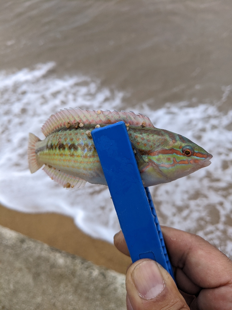 ツーリングからの