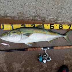 プチsalt water game