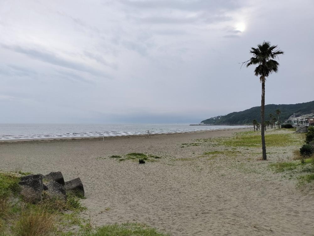 お手軽なキス釣り