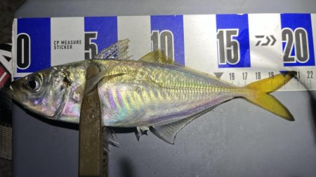 ラインスラッグ