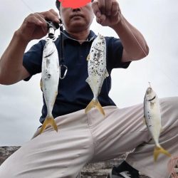 ヤズ（ブリの幼魚）釣れました。