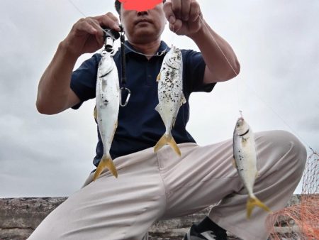 ヤズ（ブリの幼魚）釣れました。