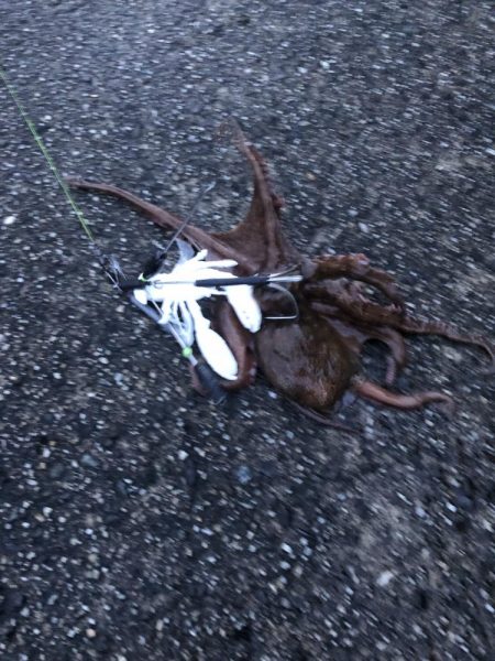 オクトパッシング