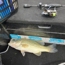 矢橋帰帆島沖46cm