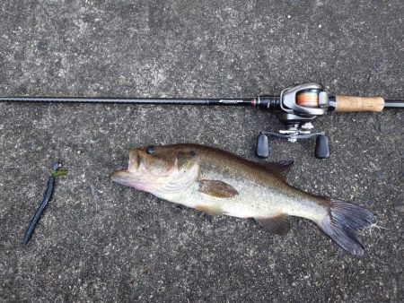 パンチショットか