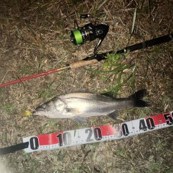 ががっときました。