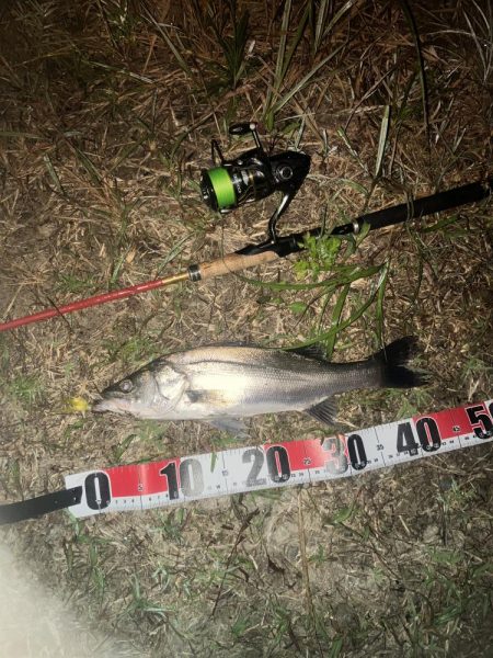 ががっときました。