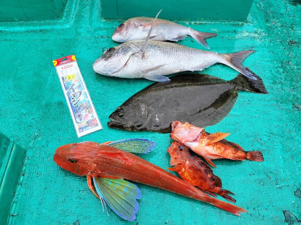 シーズン開幕の和歌山紀北の落とし込み