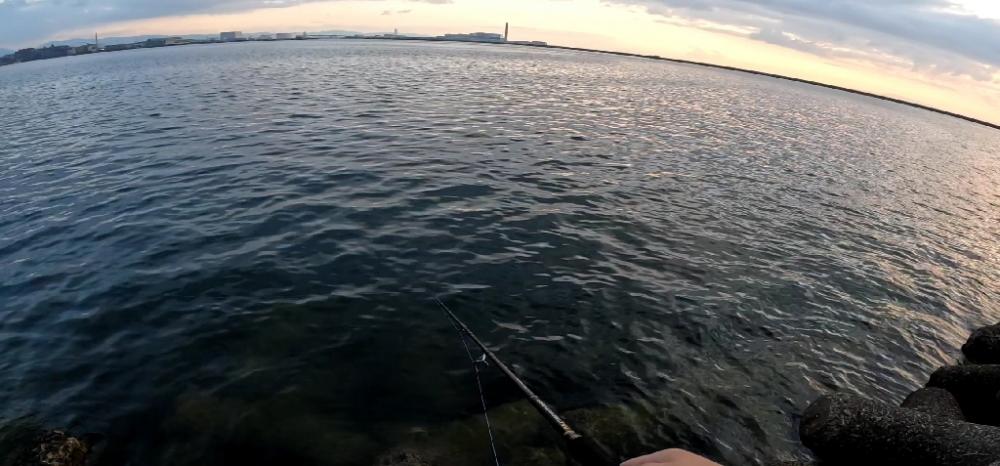 タコタコタコエイ(; ꒪ㅿ꒪)