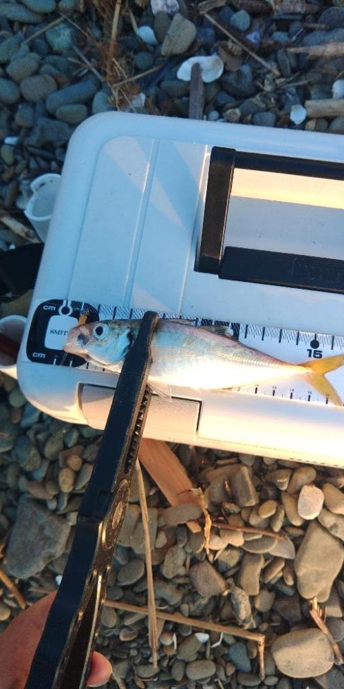 フロートゲーム~