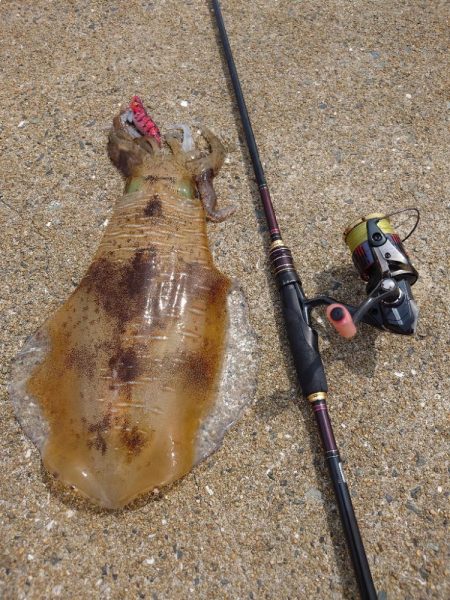 堤防ランガンエギングIN対馬