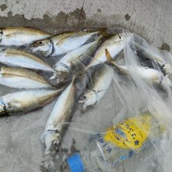 マズメにサクッと