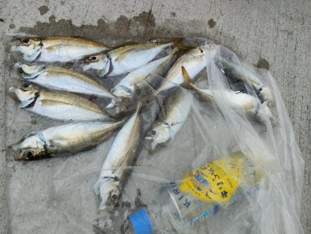 マズメにサクッと