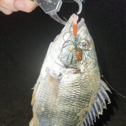 やっと、来た～