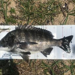 タフコンでショートバイトに苦戦