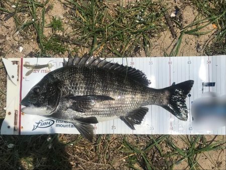 タフコンでショートバイトに苦戦