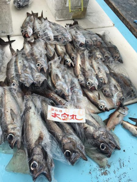 大爆釣！　駿河湾　中深海　スロージギングも…