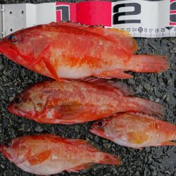 天候に不安有り。しかし…