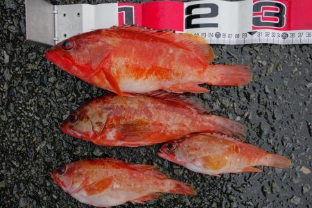 天候に不安有り。しかし…