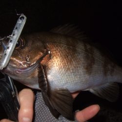 予想外の高活性