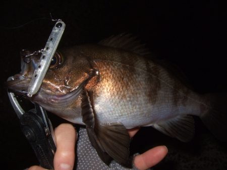 予想外の高活性