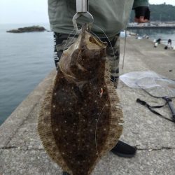 サビキでソゲゲット👍