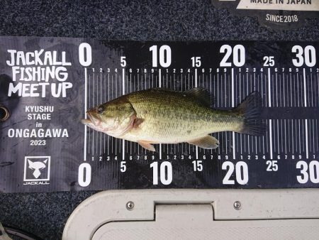 JACKALL FISHING MEET …