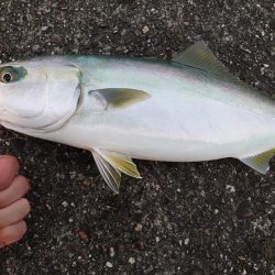 ボイルは唐突に