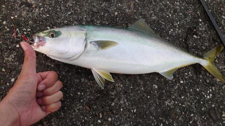 ボイルは唐突に