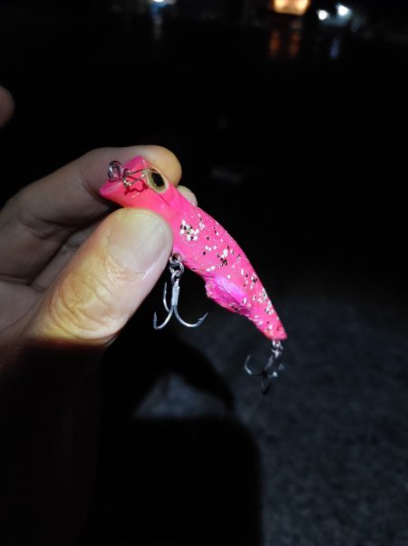 シーバス2匹　複数は難しいです