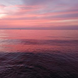 エギングたまにアジング