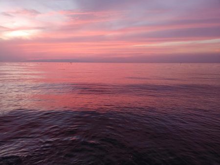 エギングたまにアジング