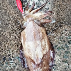 幸先は良かったが…