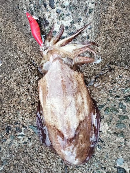 幸先は良かったが…