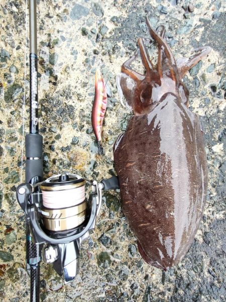 墨族　一本勝負