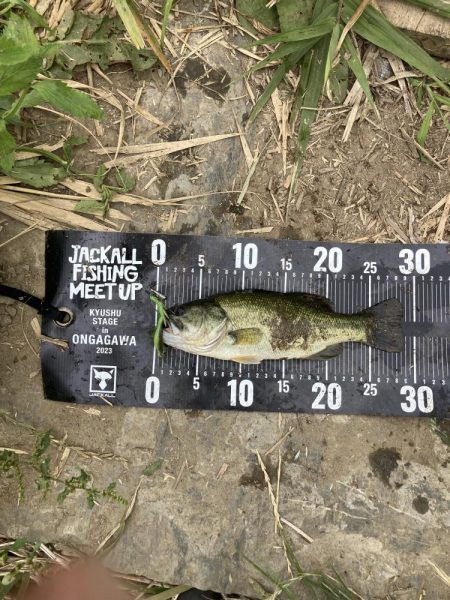 JACKALL FISHING  MEET…