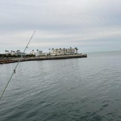 アジ回遊渋め②