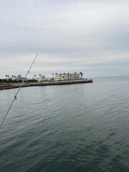 アジ回遊渋め②