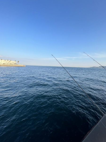 豆　豆アジ回遊中