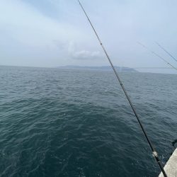 こサバマシマシ。人マシマし