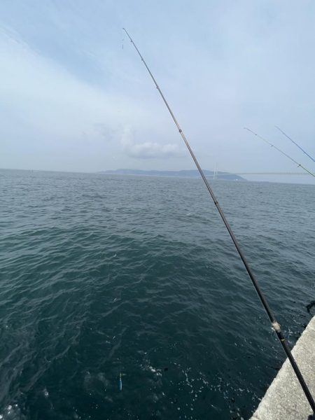 こサバマシマシ。人マシマし